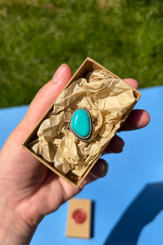 Turquoise Tale Ring in Sterling Silver