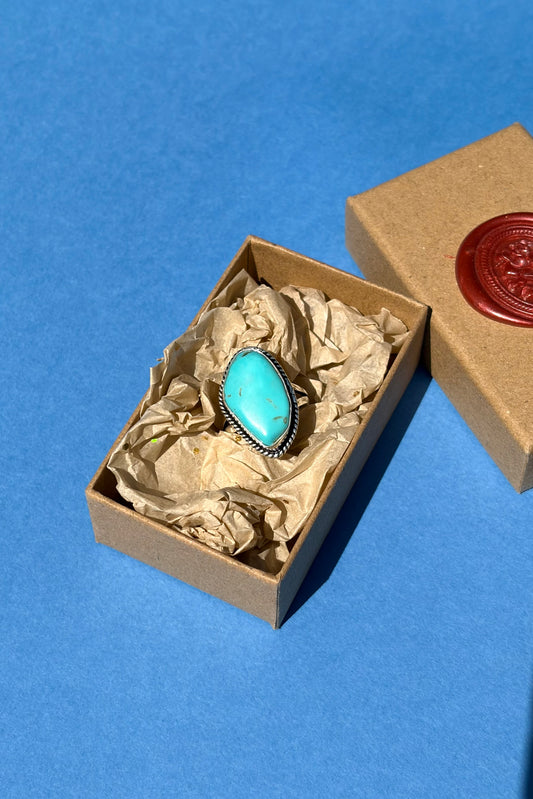 Turquoise Tale Ring in Sterling Silver