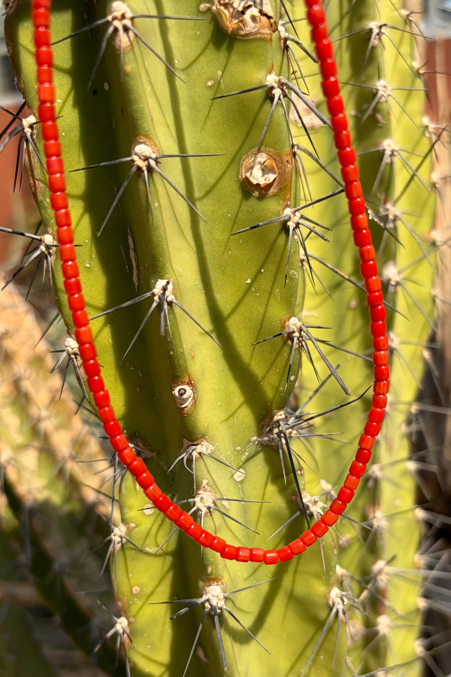 Red Coral Beaded Necklace